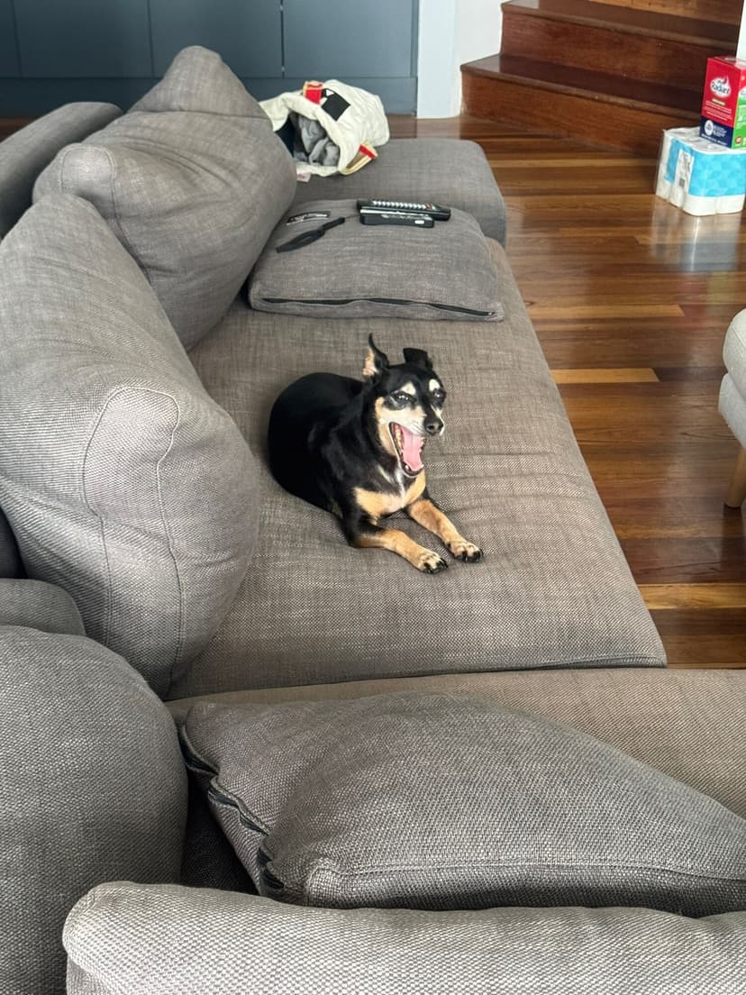 2025 Newsletter Photo 146