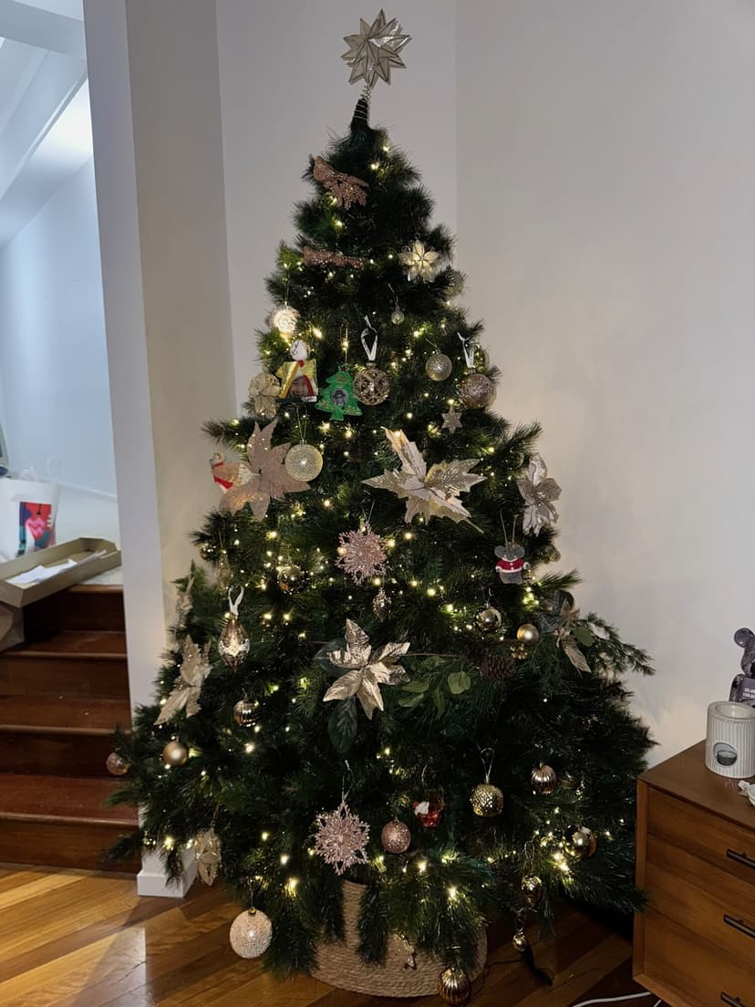 2025 Newsletter Photo 315