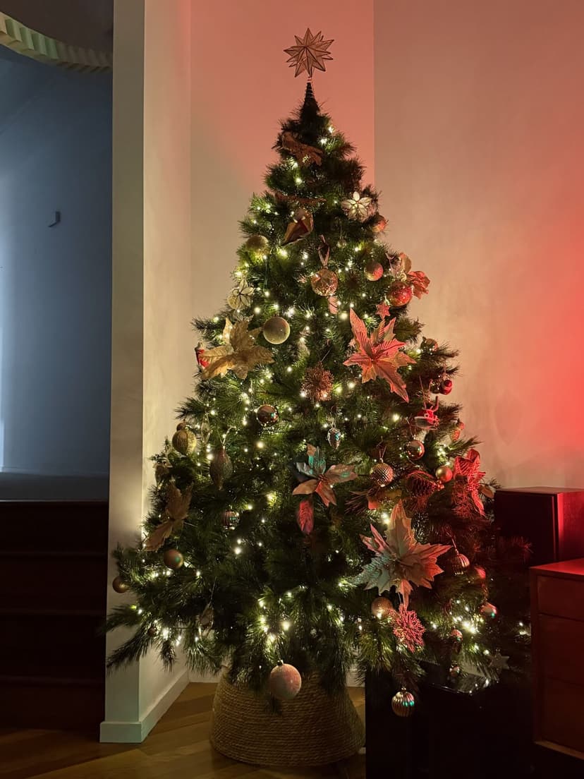 2025 Newsletter Photo 329