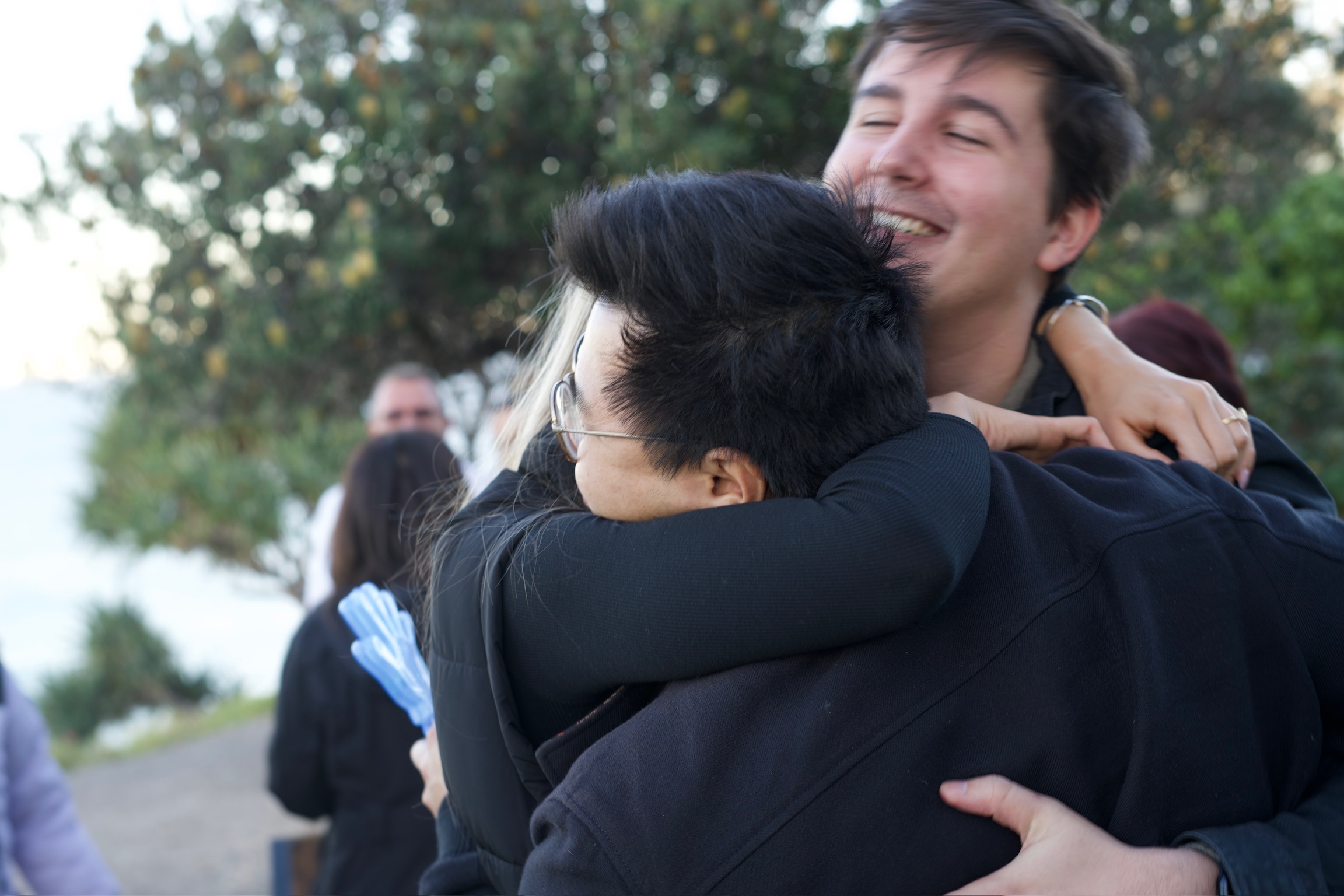 Second horizontal image description