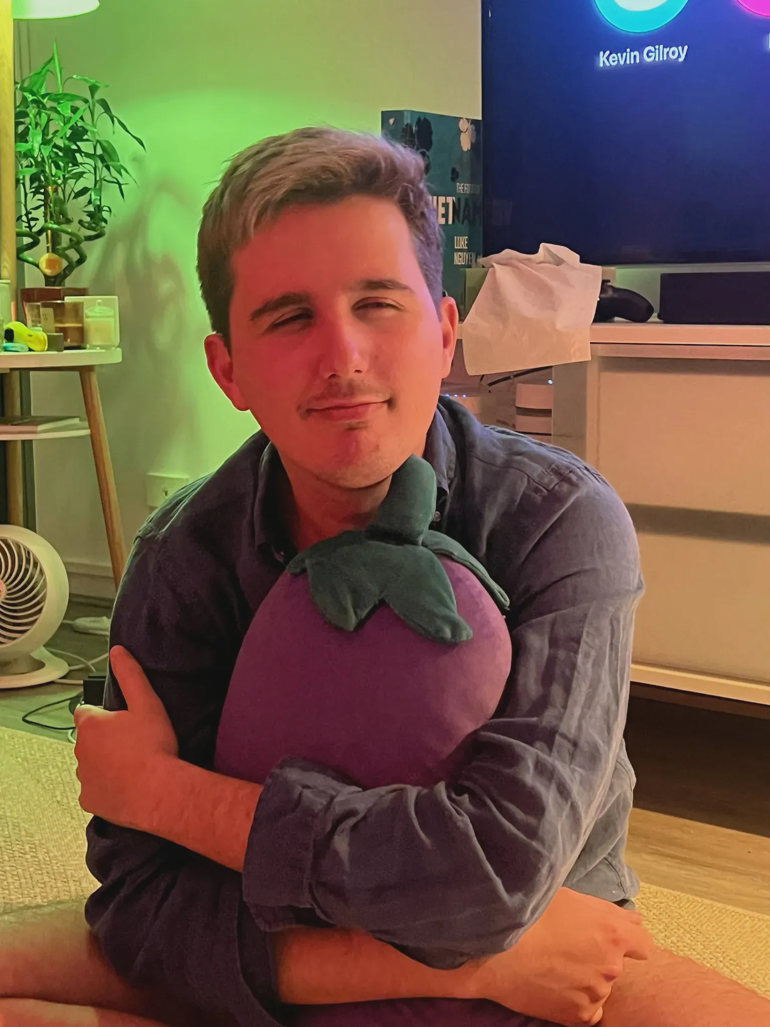 Ed and Eggplant pillow